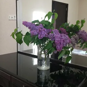 Mg In تبليسي